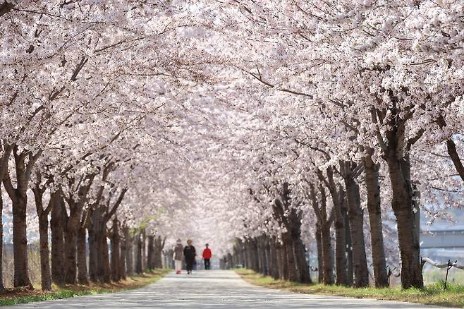 전천 제방길. 동해시 제공