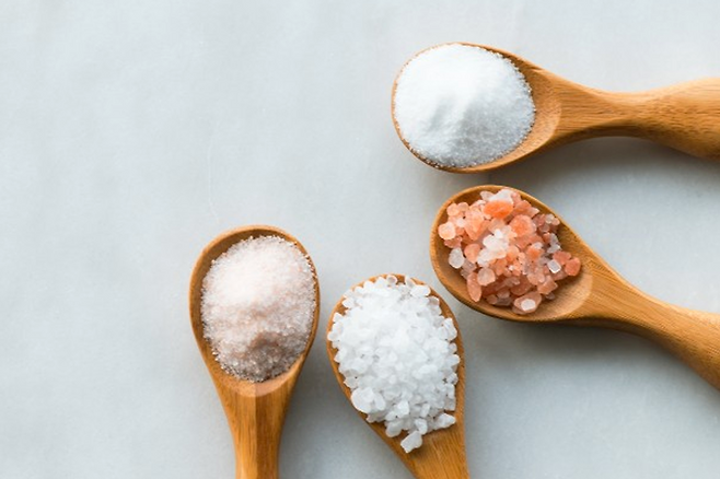여러 종류의 소금