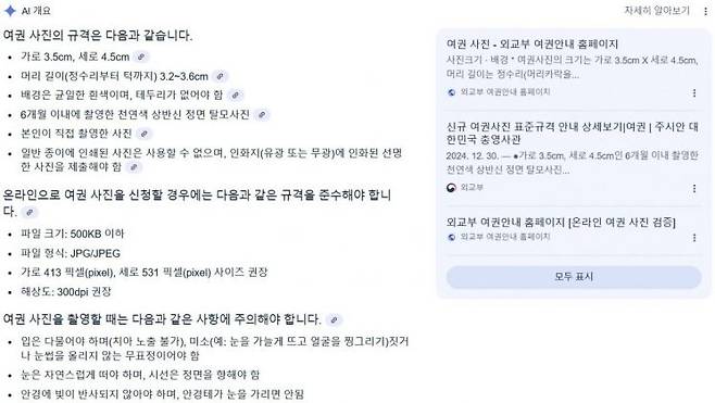 구글에서 '여권사진 규격'을 검색한 결과.