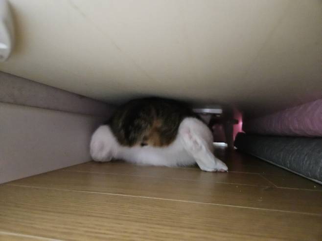 오랜만에 문봉식&문필두 사진전.