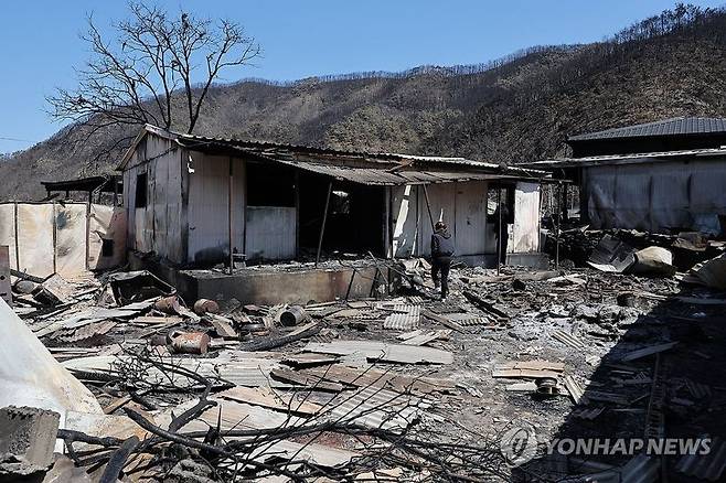 /사진=연합뉴스