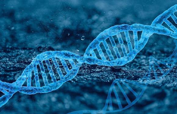 평생을 여자인 줄 알고 살아오던 중국의 17세 소녀가 월경을 하지 않아 찾은 병원에서 '남성' 염색체를 가졌다는 사실을 알게 됐다는 사연이 전해졌다. 본 기사와 무관한 이미지. [사진=픽사베이 @Furiosa-L]