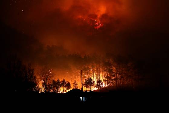 Wildfires spread in Andong, North Gyeongsang, on March 25. [NEWS1]