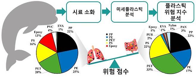 [인천=뉴시스] 상괭이 섭취와 호흡을 통한 미세플라스틱 오염 연구 요약 그래픽. (사진=인하대 제공) 2025.04.01. photo@newsis.com *재판매 및 DB 금지