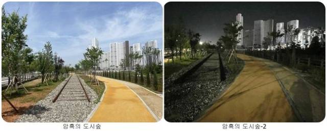 ▲ 송학동과 오산면에 조성된 총 3.5㎞ 길의 '기후대응 도시숲'이 야간 조명의 전무로 밤이 되면 어둠 속에 묻힌다고 주장했다. ⓒ익산시
