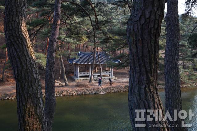 ▲퇴계는 풍기군수로 재임하면서 소수서원 경내를 유유히 흐르는 죽계 건너편 경자바위 옆에 정자를 짓고 소수서원을 병풍처럼 둘러싸고 사시사철 푸르름을 발하는 연화산과 시원한 죽계계곡의 경관을 음미하는 곳이라는 뜻에서 취한대라 이름을 지었다.