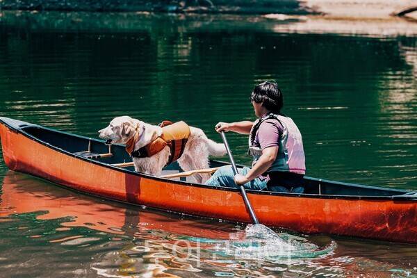소노펫클럽앤리조트 비발디파크가 반려견과 함께 카누를 탈 수 있는&nbsp;소노펫 카누투어를 내놨다.&nbsp;
