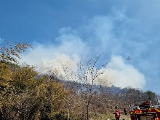 옥천군청성면 조천리 산불모습. 옥천소방서제공