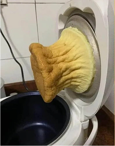 밥통 카스테라 대참사