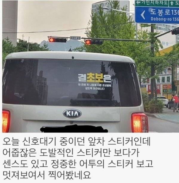 양보해주게 되는 초보운전 스티커