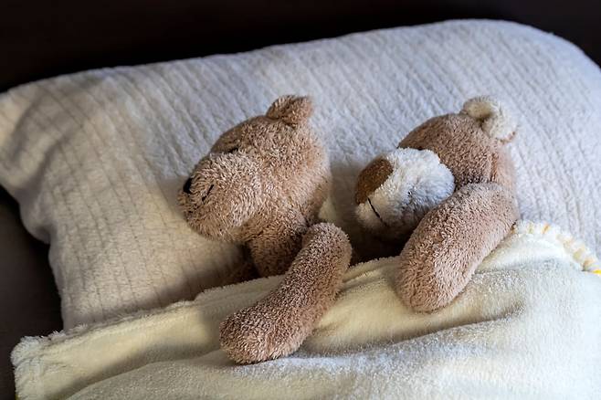 인형을 안고 자면 숙면에 도움이 된다./사진=게티이미지뱅크