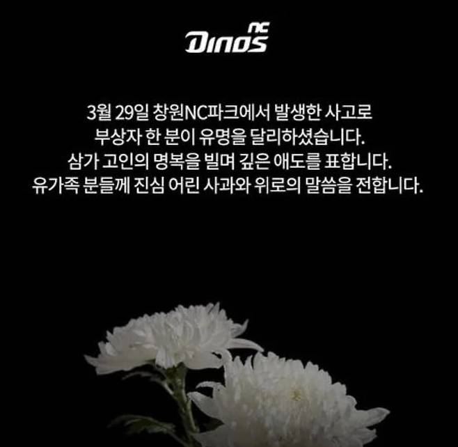 /사진=NC다이노스 공식 SNS