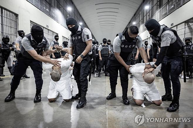 지난 16일 갱 단원이라는 이유로 엘살바도르 테러범수용센터(CECOT)에 수감된 사람들 [로이터 연합뉴스 자료사진. 재판매 및 DB 금지]