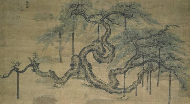 사직송. 겸재가 노송 한 그루만으로 화면을 가득 채운 작품으로, 실제 사직단에 있는 소나무를 그린 것이다. 선물용이나 판매용으로 그린 것으로 추정된다. /고려대학교박물관 소장