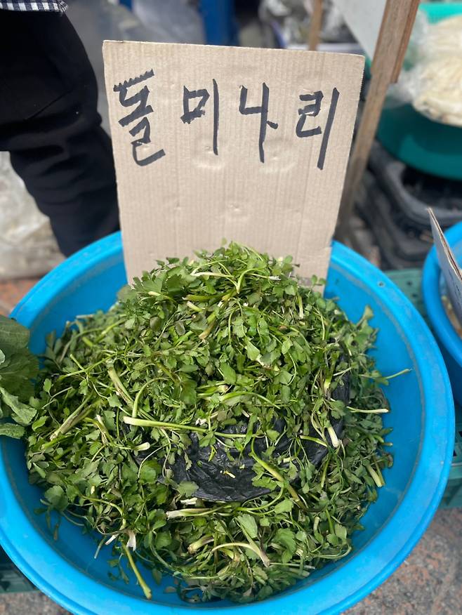 봄철 피로, 돌미나리 한 줌이면 충분하다 ©bnt뉴스