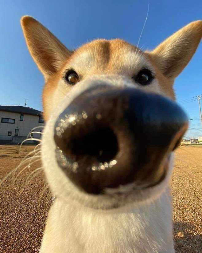 주민센터 일하면서 겪어본 소각장이야기