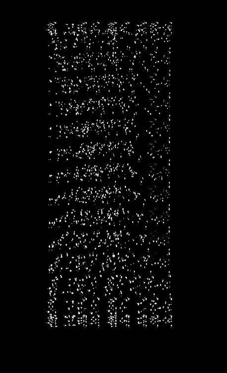 흰 고래의 흼에 대하여·홍한별 지음·위고 발행·272쪽·2만 원