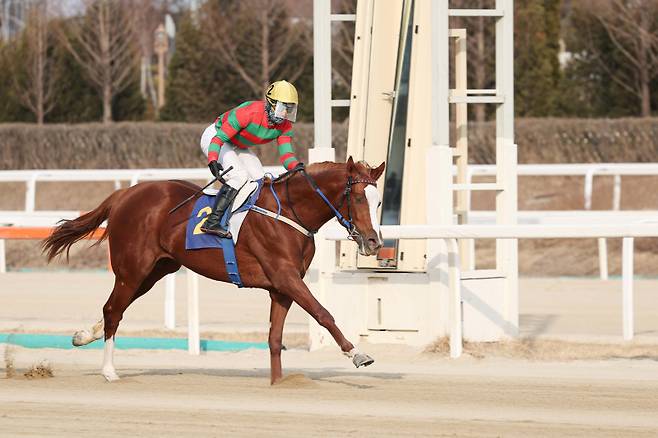찬페이머스. 사진=한국마사회