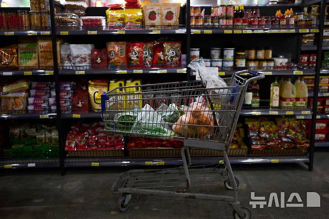 [롤랜드하이츠(미 캘리포니아주)=AP/뉴시스]미 캘리포니아주 롤랜드하이츠의 한 아시아 식품점에 3일 식료품들을 가득 실은 쇼핑 카트가 서 있다. 도널드 트럼프 미 대통령의 상호관세 부과 발표로 거의 모든 품목들의 가격이 급등할 것으로 우려하는 미국인들이 발표와 동시에 너나 할 것없이 가격이 오르기 전 조금이라도 빨리 물건을 마련하겠다고 슈퍼마켓과 TV 매장과 같은 상점들로 몰려 공황 상태 같은 사재기 열풍이 일고 있다고 월 스트리트 저널(WSJ)이 3일(현지시각) 보도했다. 2025.04.04.