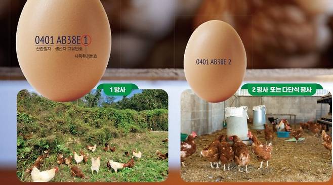 달걀 난각번호(1-2)의 의미. 게티이미지뱅크 제공
