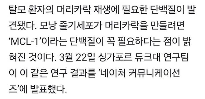Screenshot_20250405_135142_Gallery.jpg 불치라던 탈모 치료법 나왔다