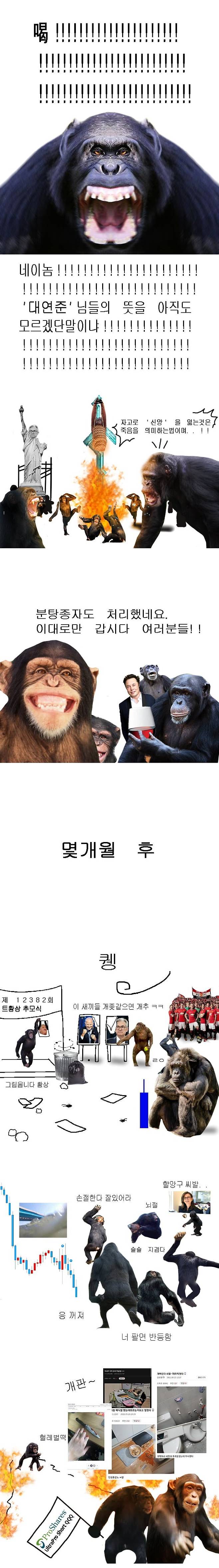 3.jpg 2022 나스닥 만화