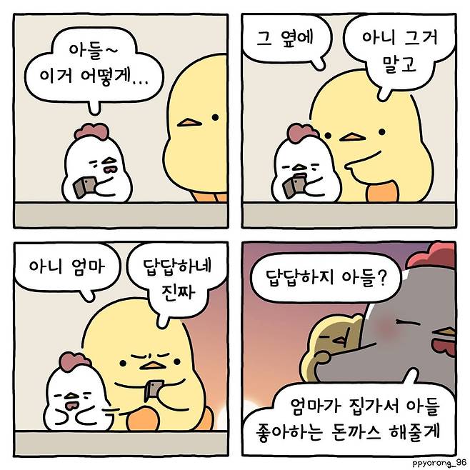 엄마가 집가서 맛있는 돈까스 해줄께