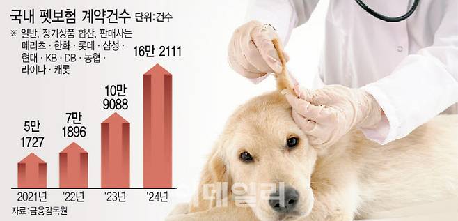 [그래픽=이데일리 이미나 기자]