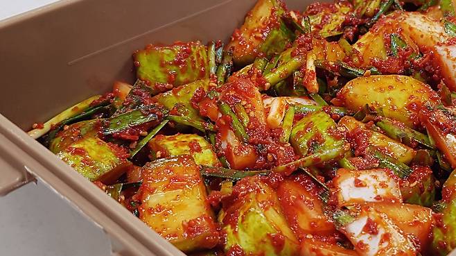 오이깍두기 레시피