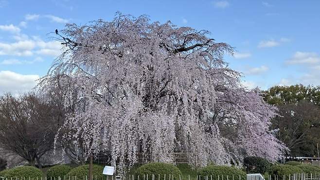 09ee8171bdf46a8723ea8294339c7019901914e84642272a222ea63478ecf9214131fa67d6c18a5611e23895989191feca2163cb71