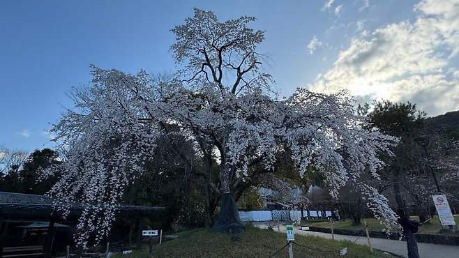 099e847fb3856af423ef8f93359c701f4380c724d8ef1acc92bf4c1ae44d20553e278589cc3c6b1cc7d3c1de240c46c2eb1cd01569