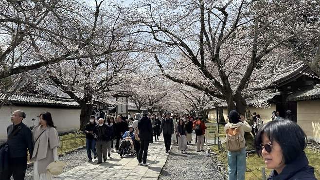 0e988874c08a61f423998ee7439c701efa8e850f2e4576e289483a6c5b6e2b3676773683e1ef0d0bb78a32c31092c81e9b3e772cb8