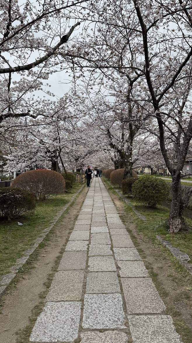 09e88473b5821df423ea8fe4419c706857a5fabb7cdfd5321e8b5d2049539602f81eaa01d65fcc5fb06faed3c3191c22fdb855e0de78