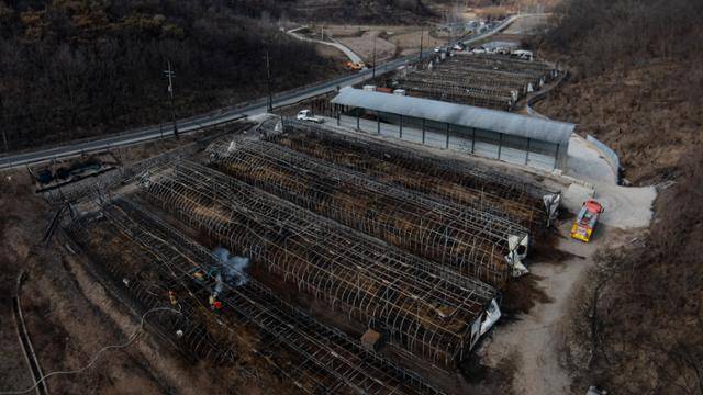 1일 경북 안동시 일직면의 한 양계장이 산불로 모두 타 폐허로 변해 있다. 안동=하상윤 기자