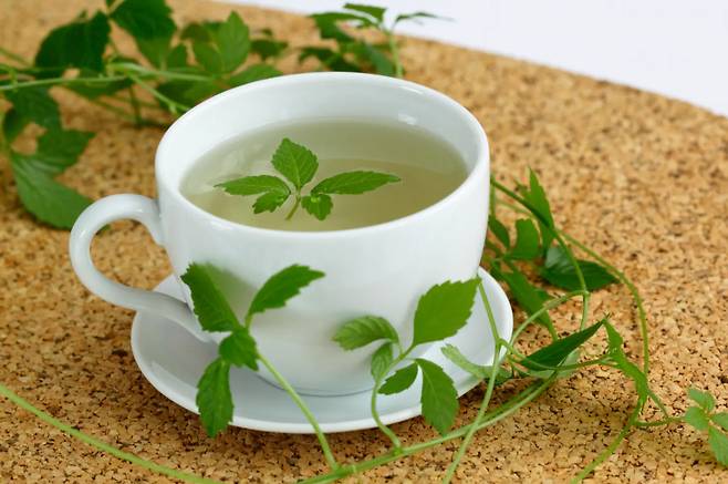 미국의 한 의사가 항산화 효과가 뛰어난 돌외잎차를 소개했다./사진=뉴욕포스트