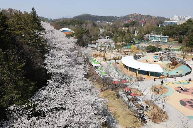 7일 광주 북구 운암동 중의공원 / 뉴스1
