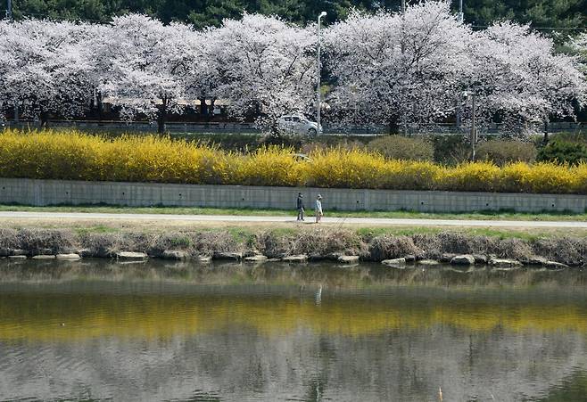 7일 전북 전주 삼천 / 뉴시스