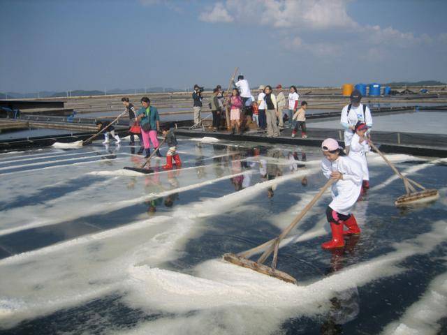 신안 증도면 소금체험. 전남 신안군 증도면 태평염전에서 관광객들이 천일염 체험을 하고 있다. 한국일보 자료사진