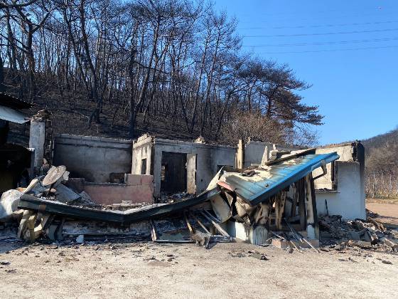 시집와서 수십년을 살았다던, 할머니의 집을 포함해, 수십채가 녹아내린 경북 영덕의 삼화2리 마을. 사진을 찍는 것마저 송구스러웠다./사진=남형도 기자