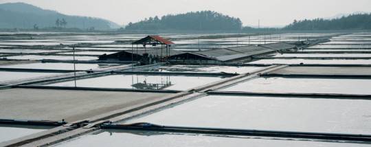 태평염전 전경. 태평염전 홈페이지