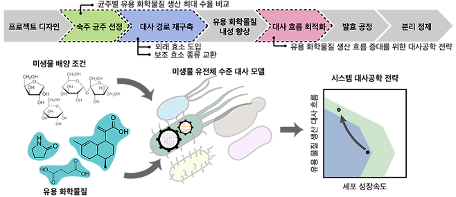 유전체 수준 대사 모델을 이용한 미생물 세포 공장 개량 전략 개요.[KAIST 제공]