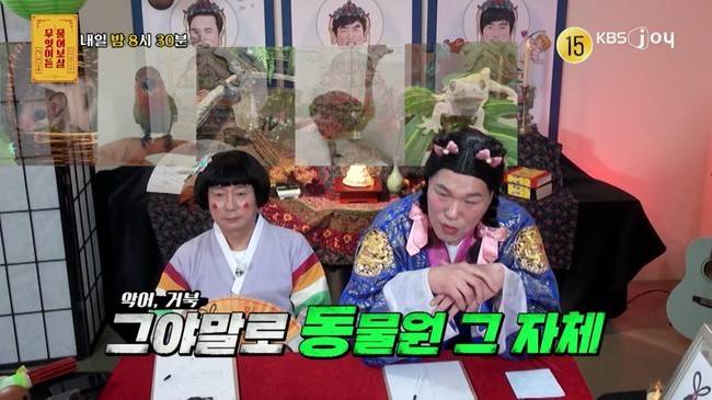 사진=KBS JOY ‘무엇이든 물어보살’