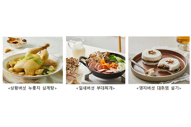약용버섯 요리