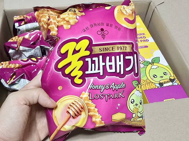 - 한가득 꿀벌 모코코 세트