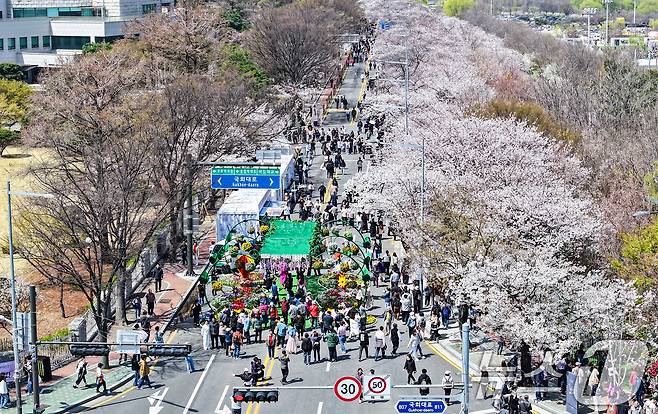 8일 서울 영등포구 여의도 윤중로에서 열리는 2025 여의도 봄꽃축제를 찾은 찾은 상춘객들이 벚꽃길을 걸으며 봄을 만끽하고 있다. 2025.4.8/뉴스1 ⓒ News1 김진환 기자