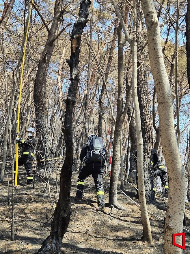 지난 7일 경북 청송군 주왕산국립공원에서 국립공원공단 소속 직원들이 화재 피해 규모를 파악하기 위한 작업을 진행 중이다. 사진=송승섭 기자