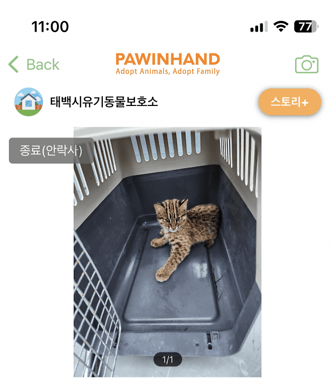 7cea8472b5816bff3bef98a518d60403820f82d7b5b610d379b5