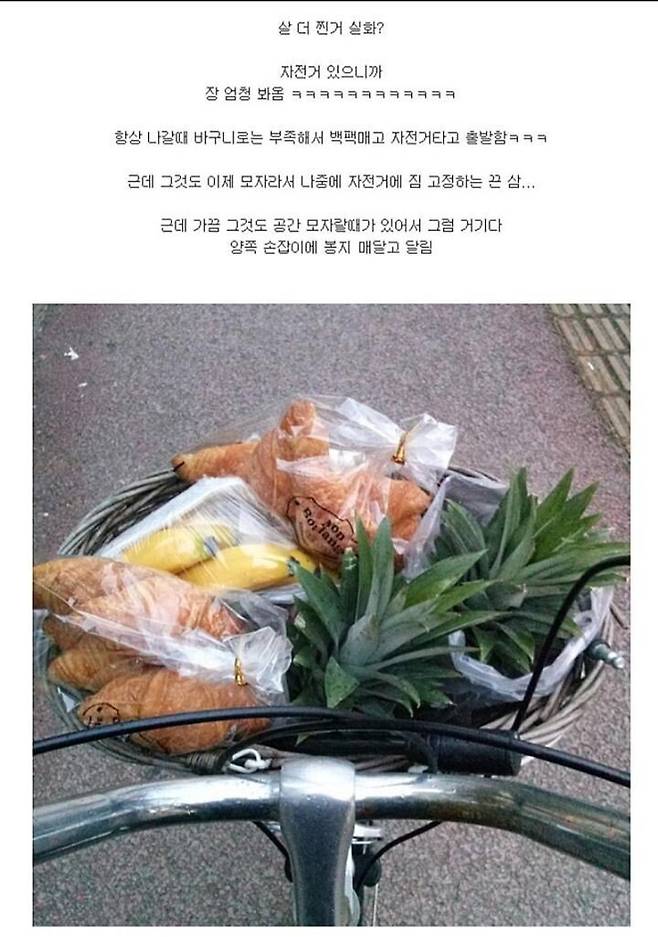 51.jpg 살빼려고 자전거를 산 결과.jpg 살빼려고 자전거를 산 결과.jpg