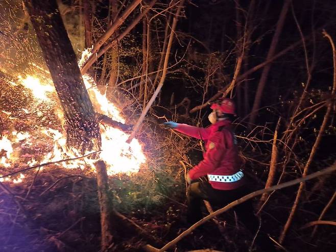 산불진화대원들의 경남 하동 산불 야간 진화 모습.