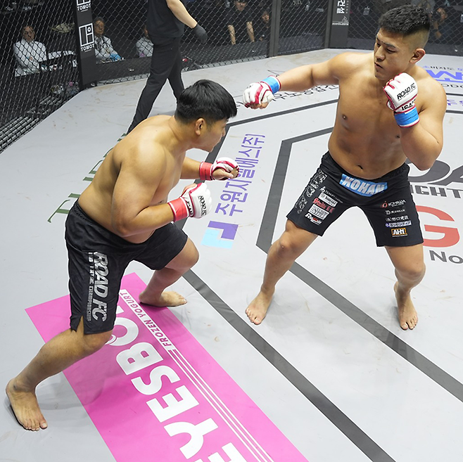 제2대 로드FC 라이트급 챔피언 권아솔이 2025년 3월 서울특별시 장충체육관에서 세키노 다이세이의 공격을 피하며 거리를 좁히고 있다. 사진=세계격투스포츠협회